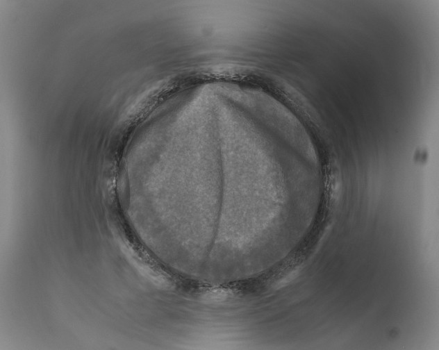 X0000110950593200907311044