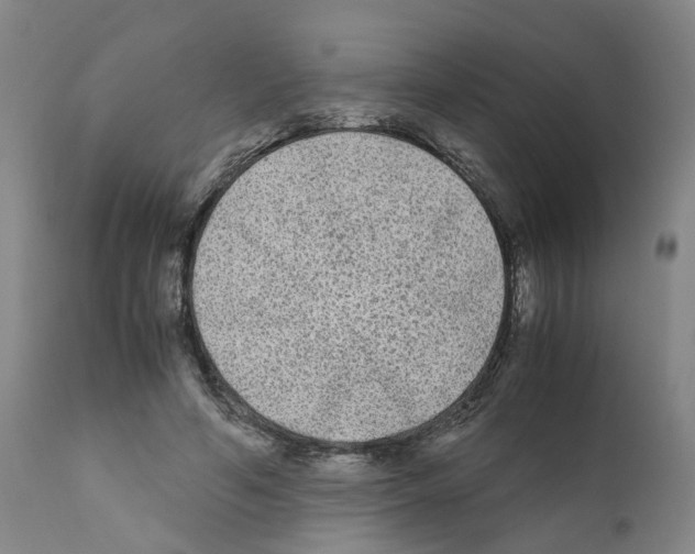 X0000110950594200907311044