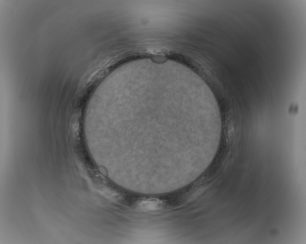 X0000110950595200907311044