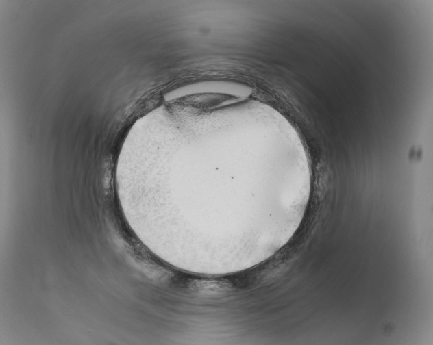 X0000110950597200907311043