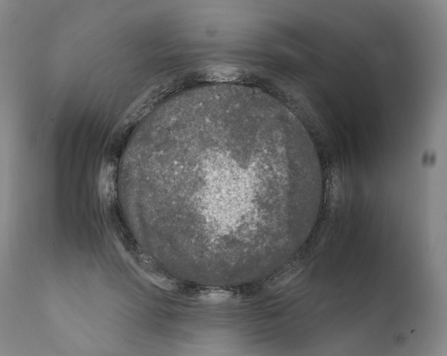 X0000110950598200907311043