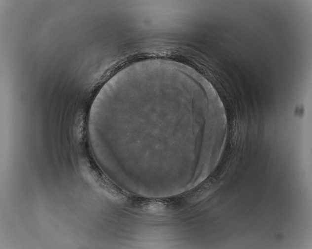 X0000110950600200907311043