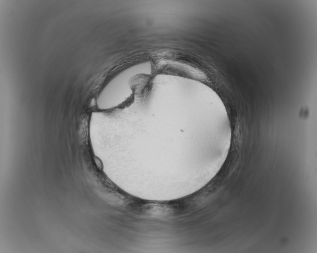 X0000110950601200907311043
