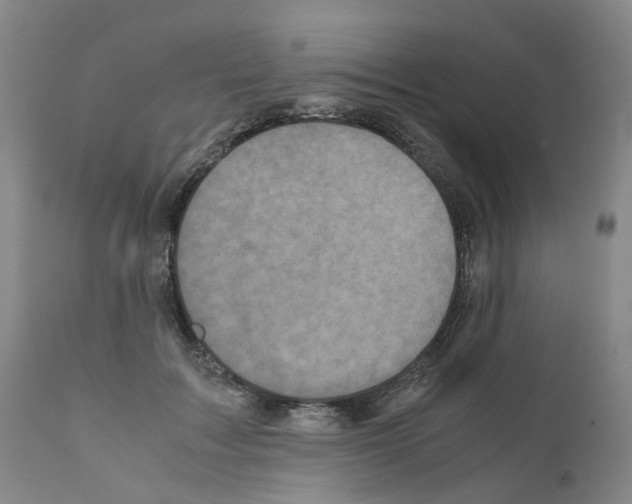 X0000110950603200907311043