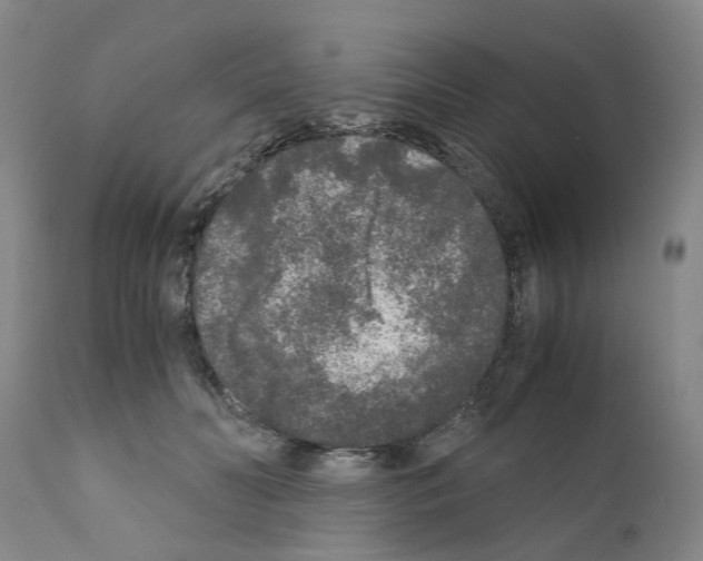 X0000110950606200907311043