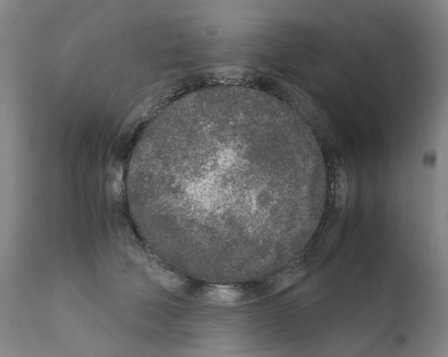 X0000110950610200907311043
