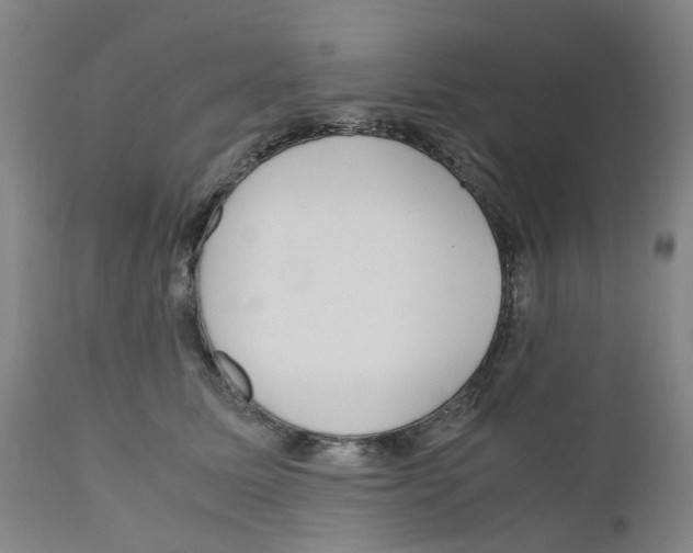 X0000110950611200907311043