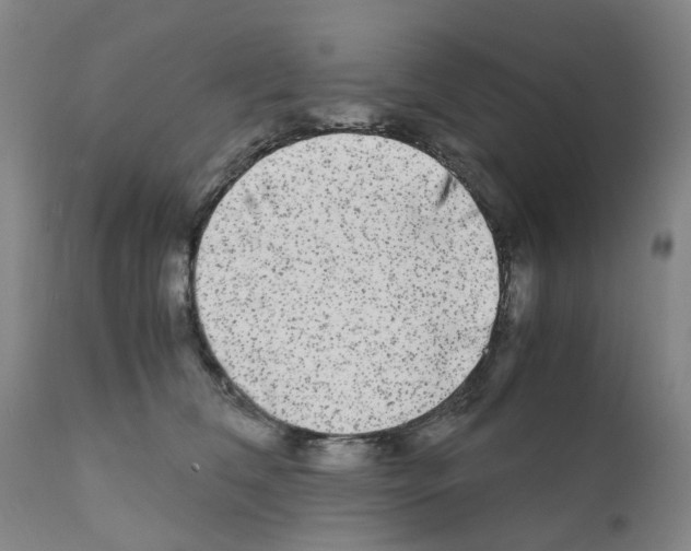 X0000110950612200907311043
