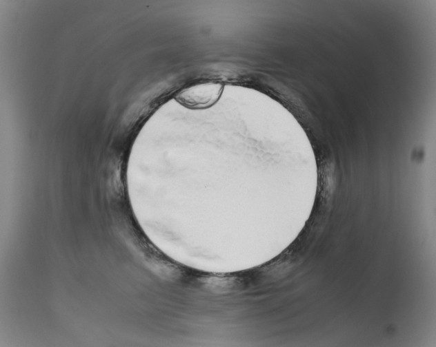 X0000110950615200907311043