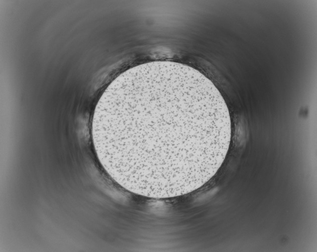 X0000110950616200907311043