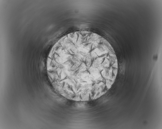 X0000110950618200907311043