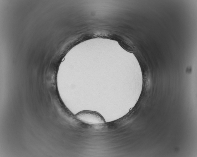 X0000110950619200907311043