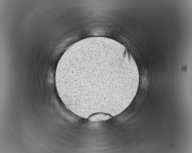 X0000110950620200907311043