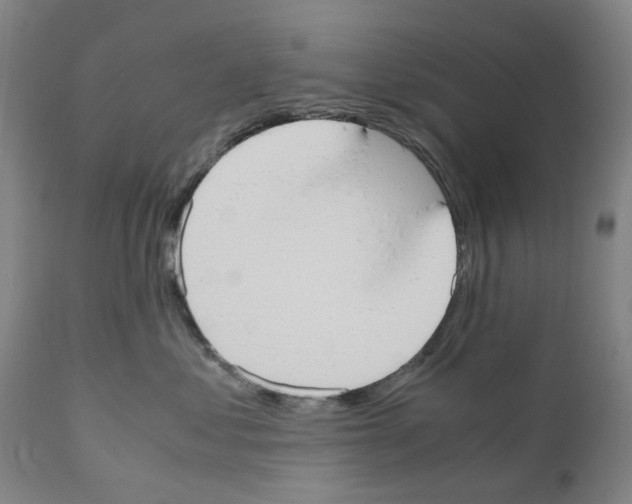 X0000110950621200907311043