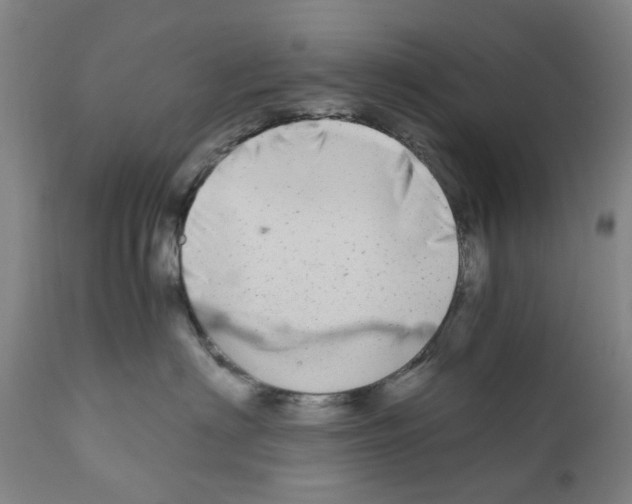 X0000110950622200907311043
