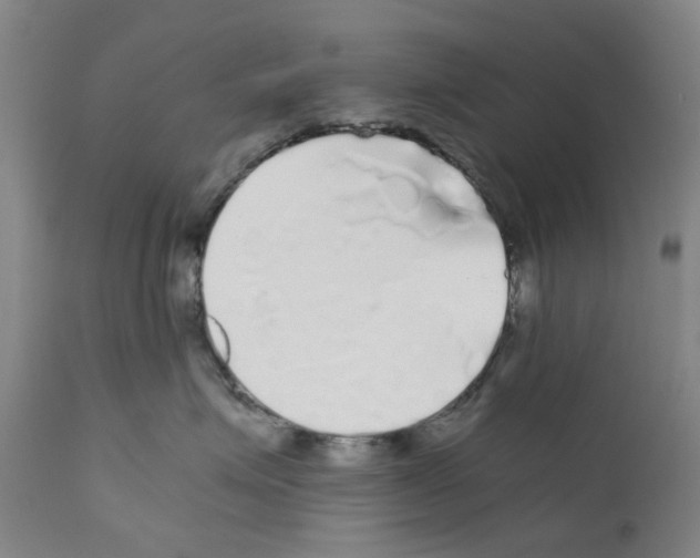 X0000110950623200907311043