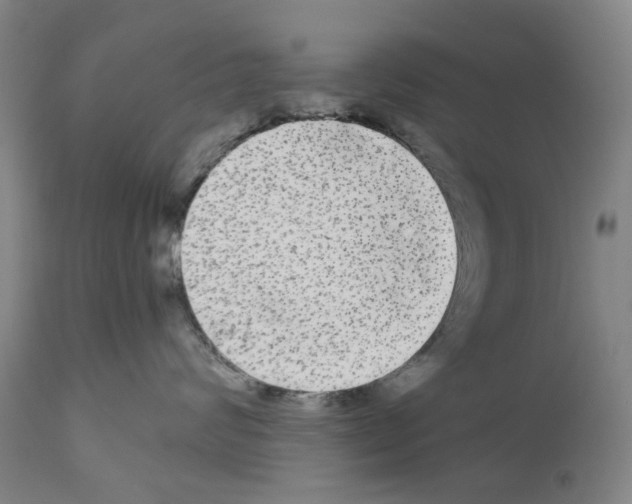 X0000110950624200907311043