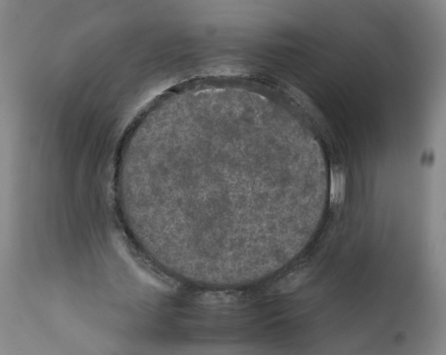X0000110950627200907311042