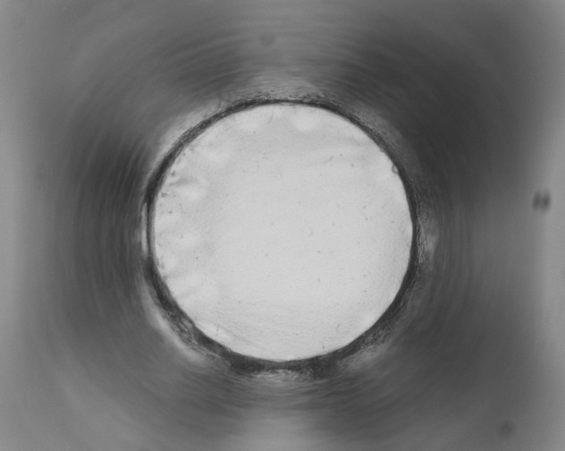 X0000110950630200907311042