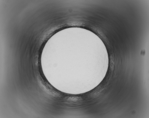 X0000110950631200907311042
