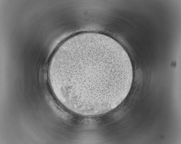 X0000110950632200907311042