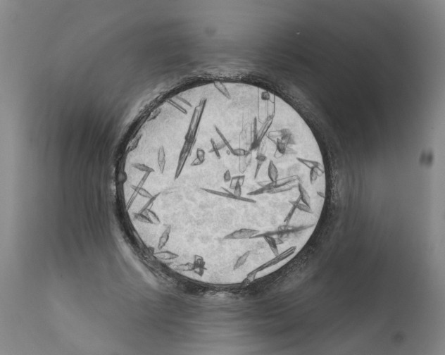 X0000110950634200907311042