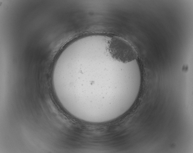 X0000110950635200907311042