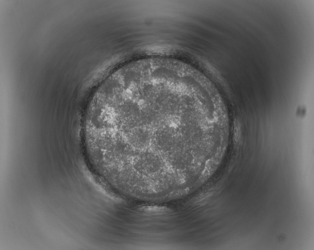 X0000110950637200907311042