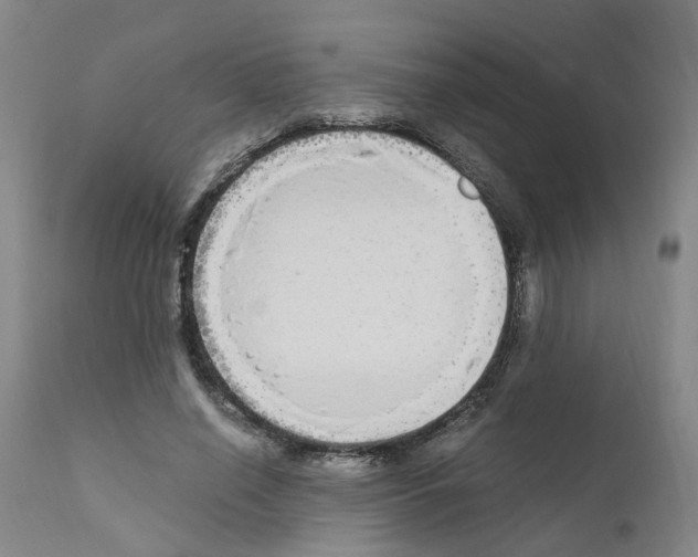X0000110950638200907311042