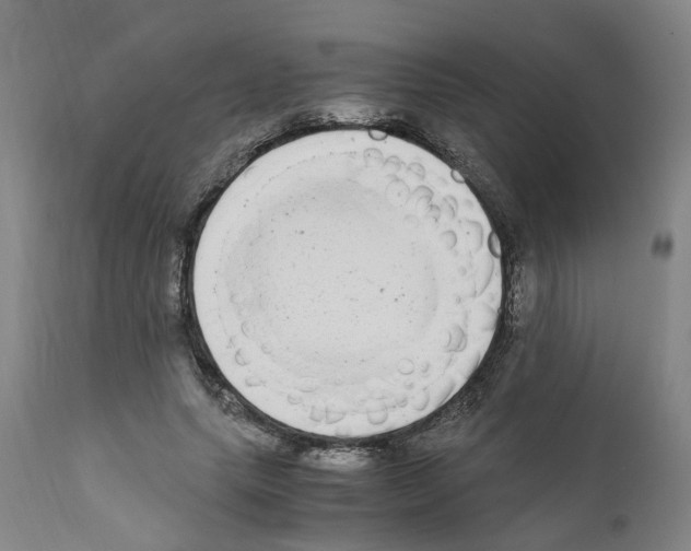 X0000110950639200907311042