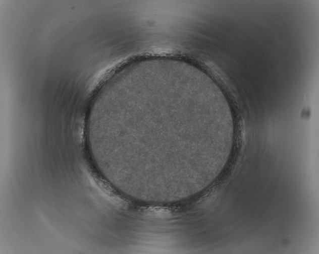 X0000110950640200907311042