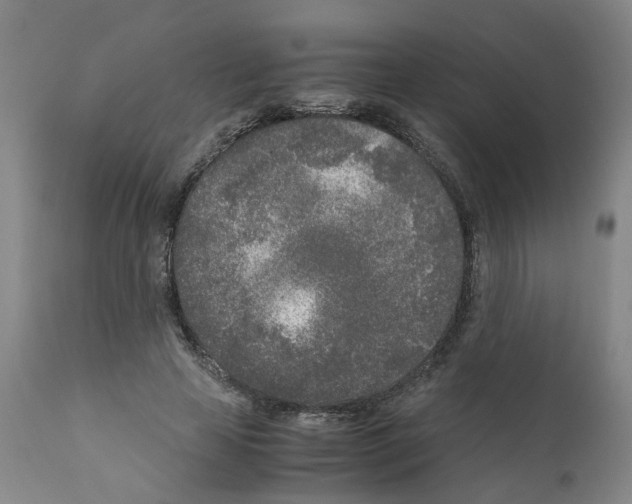 X0000110950641200907311043