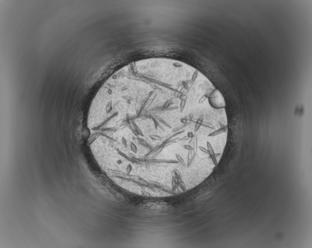 X0000110950642200907311043