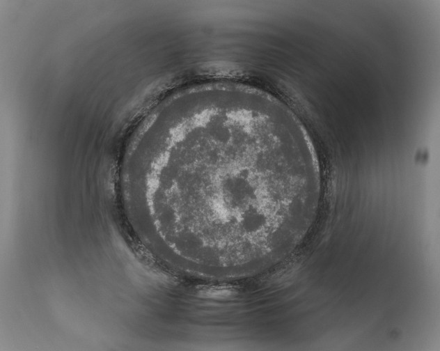 X0000110950643200907311043