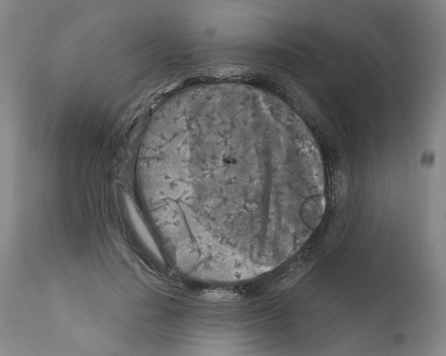 X0000110950644200907311043