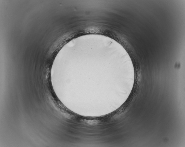 X0000110950645200907311043
