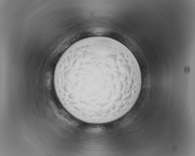 X0000110950646200907311043