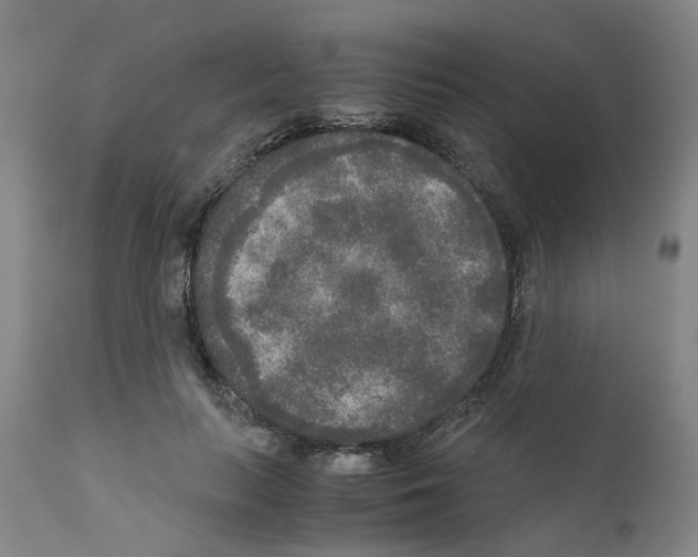 X0000110950647200907311043