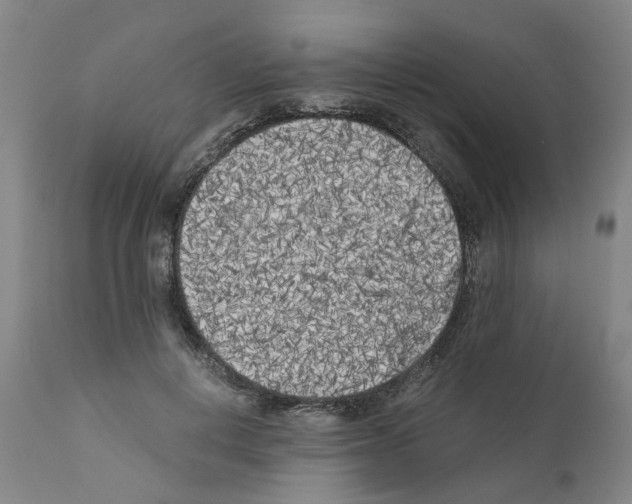 X0000110950648200907311043