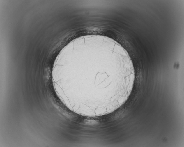 X0000110950649200907311043