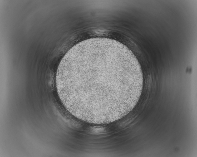 X0000110950651200907311043
