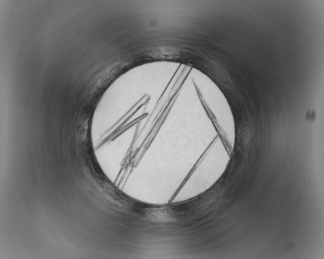 X0000110950652200907311043