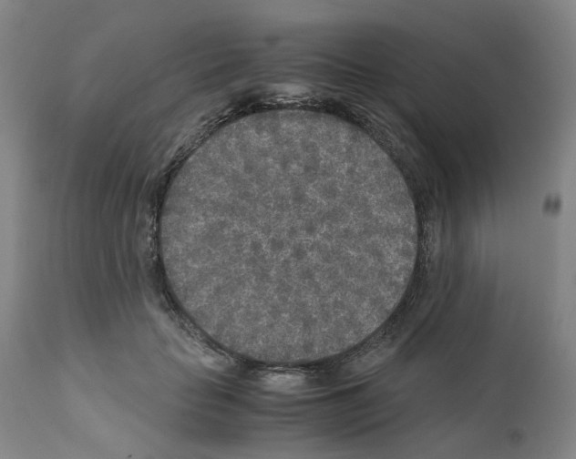 X0000110950653200907311043
