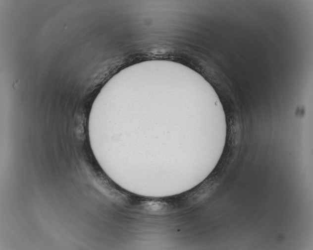 X0000110950654200907311043