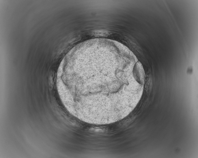 X0000110950655200907311043