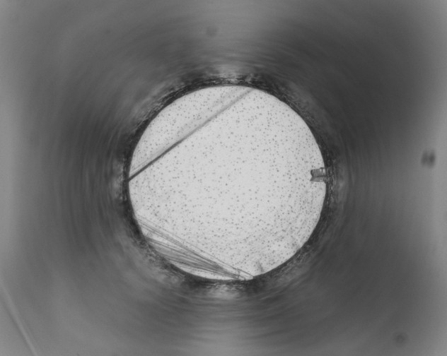 X0000110950656200907311043