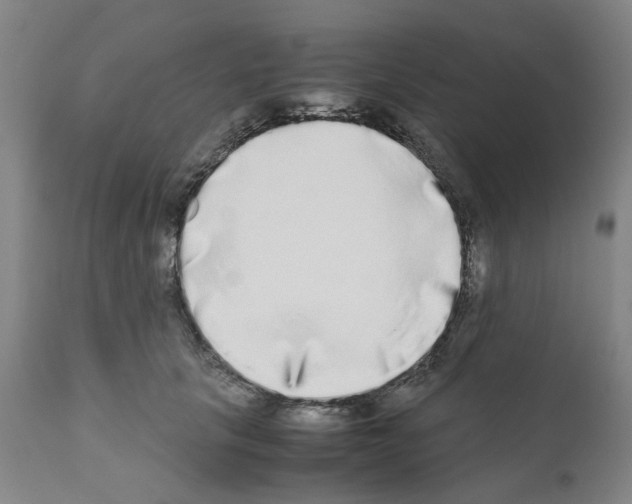 X0000110950657200907311043
