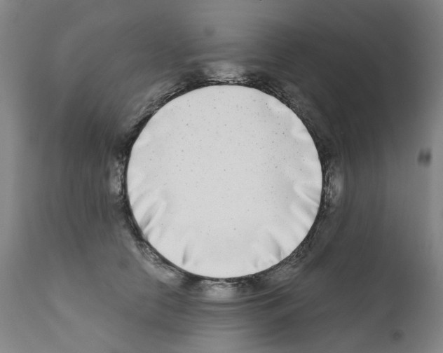 X0000110950658200907311043