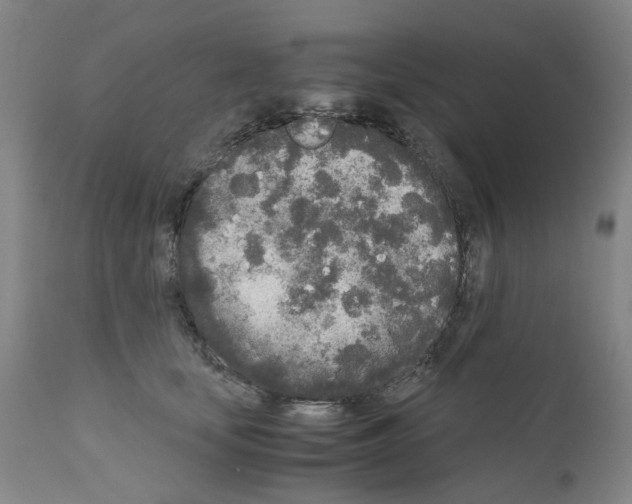 X0000110950659200907311043