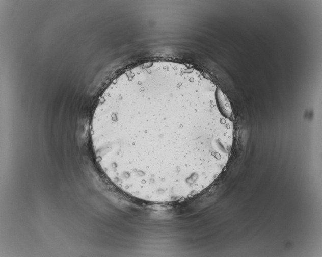 X0000110950660200907311043
